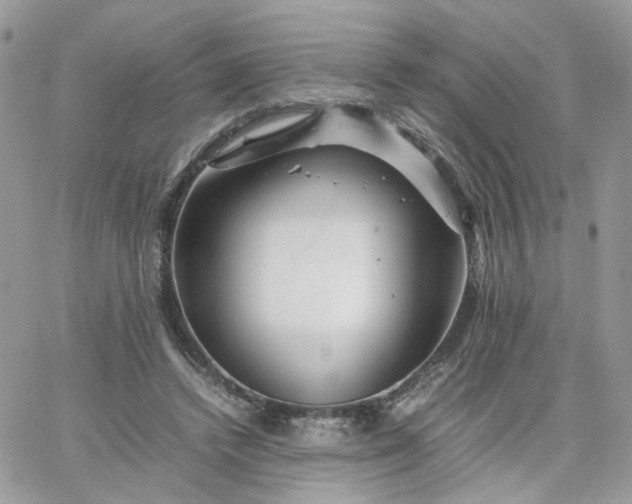 X0000066080448200603241436