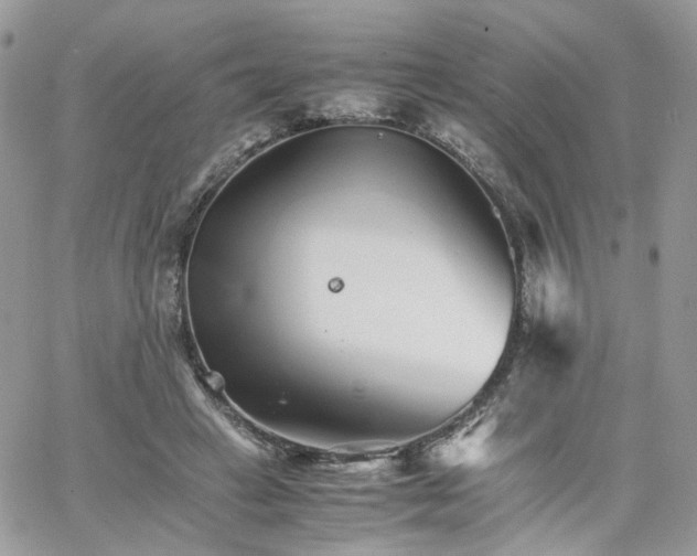 X0000066080449200603241436