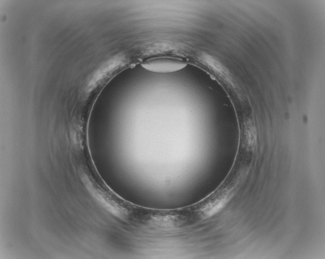 X0000066080450200603241436