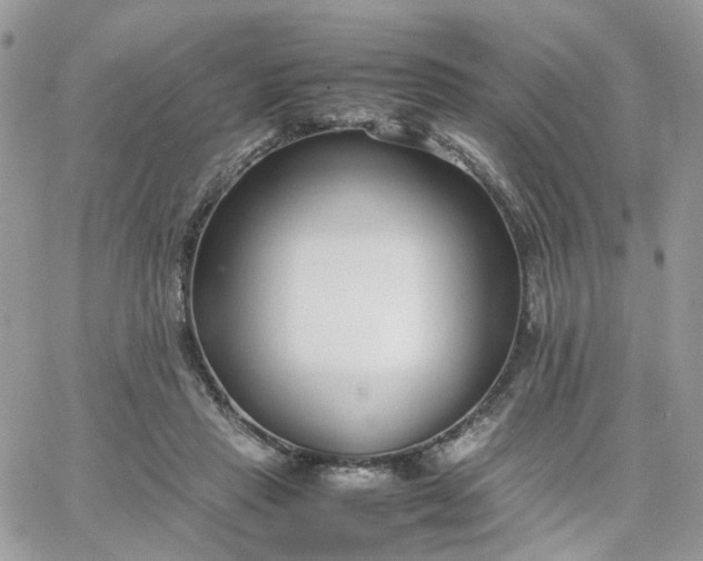 X0000066080453200603241436