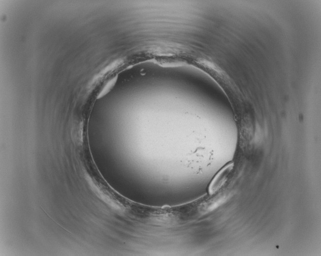 X0000066080454200603241436