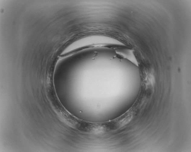 X0000066080456200603241436