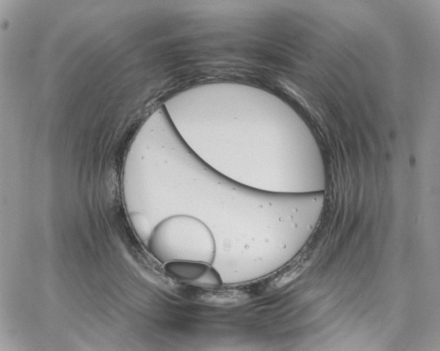 X0000066080459200603241436