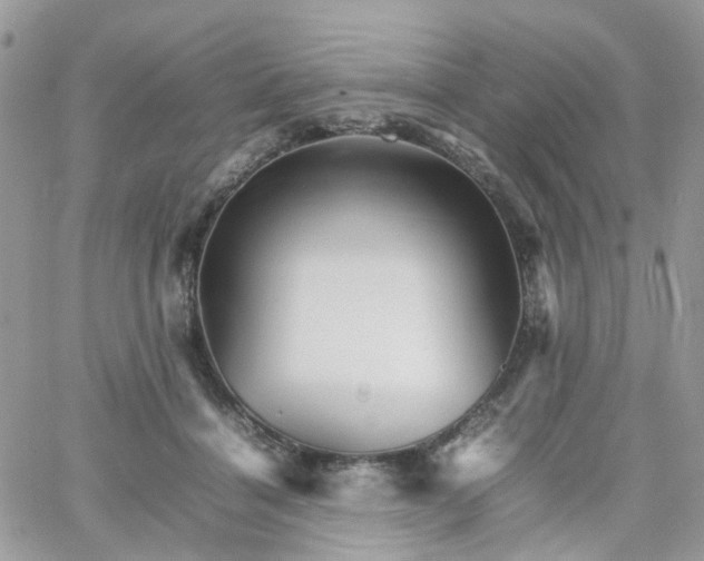 X0000066080460200603241436