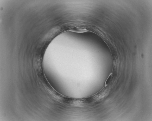 X0000066080462200603241436