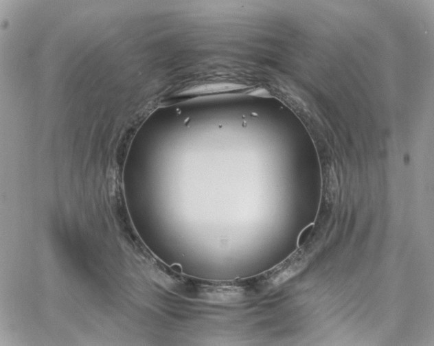 X0000066080463200603241436