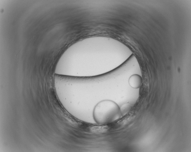 X0000066080465200603241436