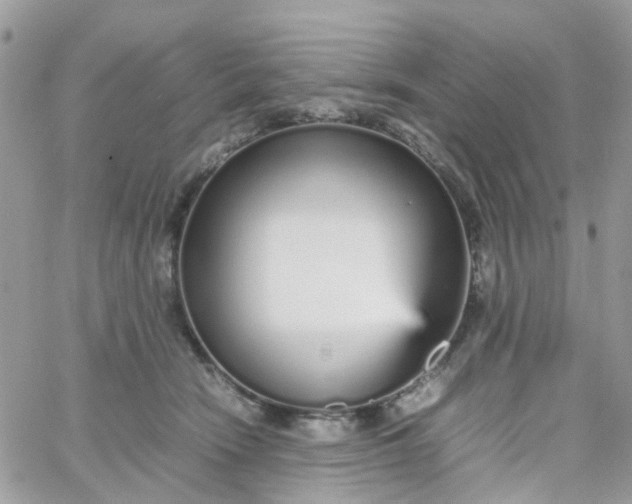 X0000066080466200603241436