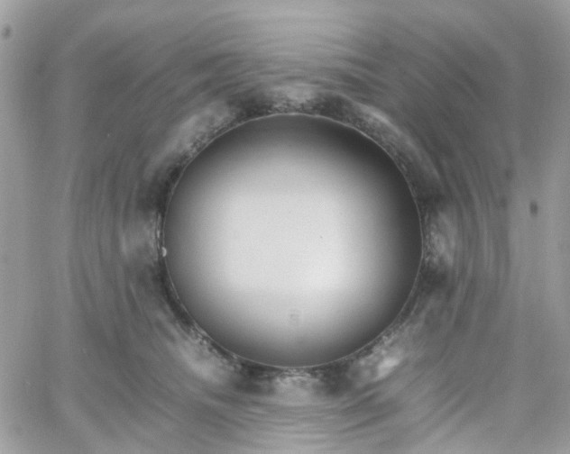 X0000066080468200603241436