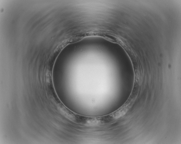 X0000066080470200603241436