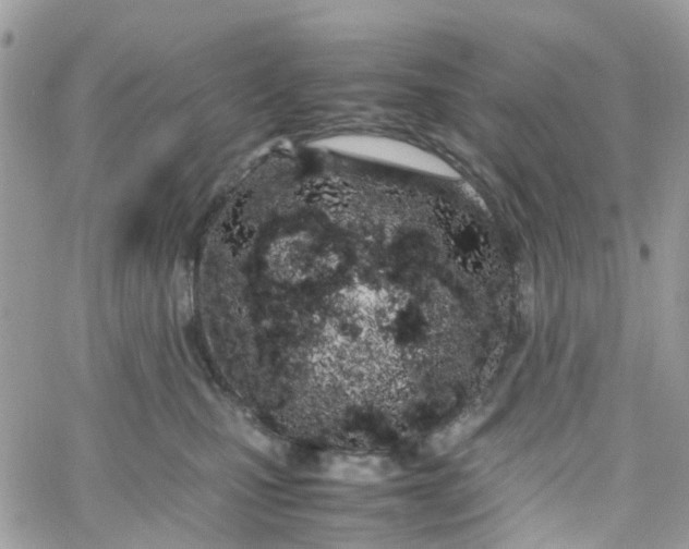 X0000066080471200603241436