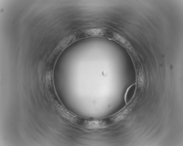 X0000066080473200603241436