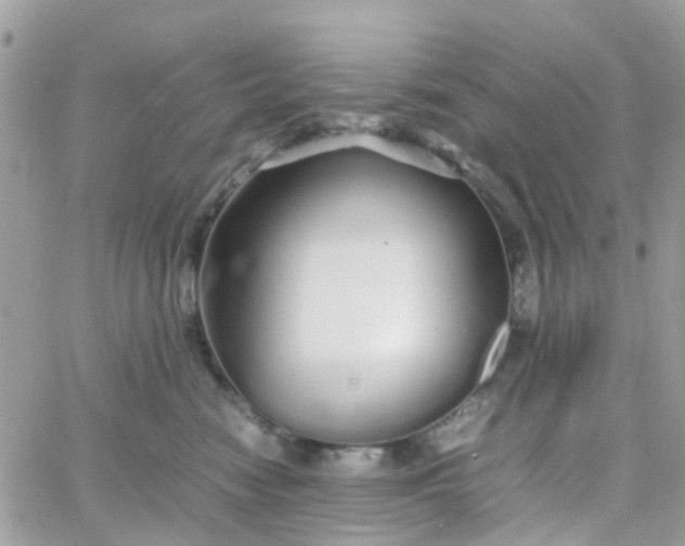 X0000066080474200603241436