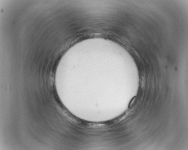 X0000066080476200603241436