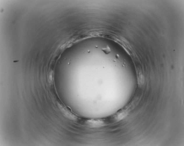 X0000066080477200603241436