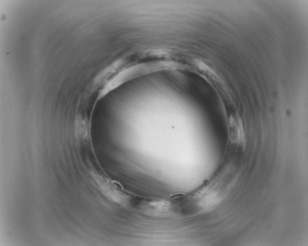 X0000066080478200603241436