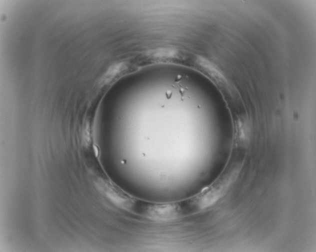 X0000066080479200603241436