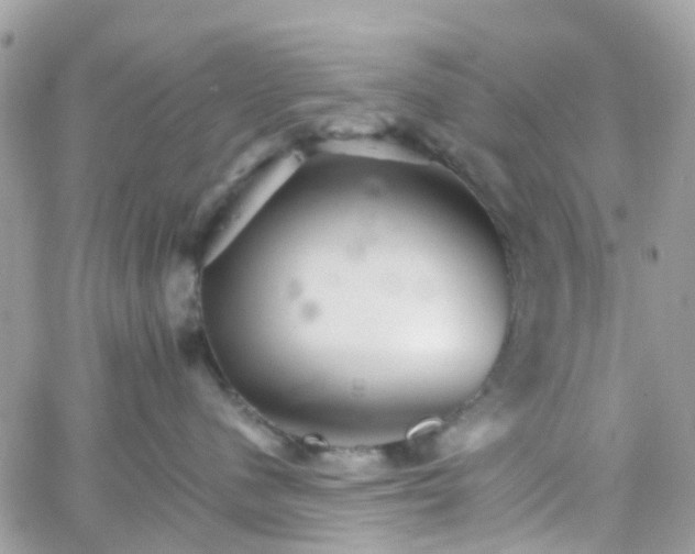 X0000066080480200603241436