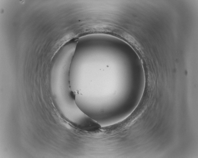 X0000066080481200603241436