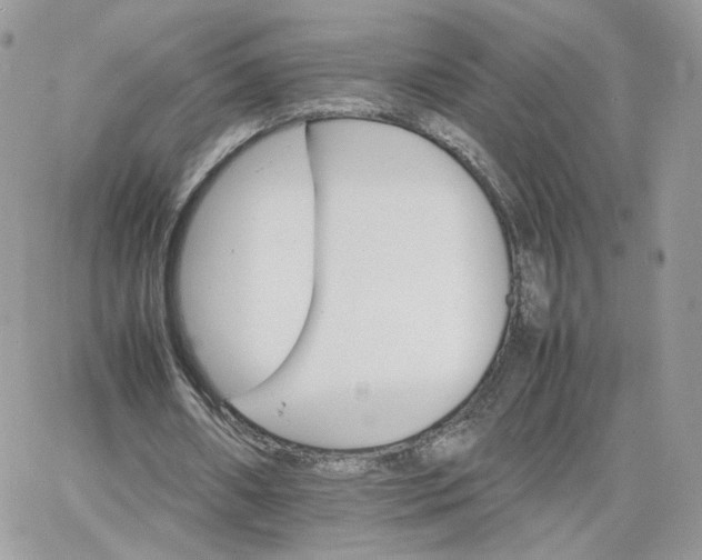 X0000066080482200603241436