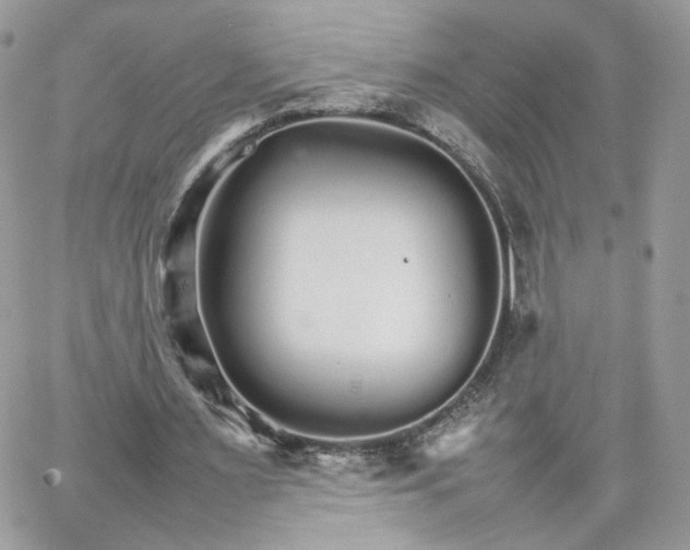 X0000066080483200603241436