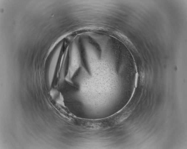 X0000066080484200603241436