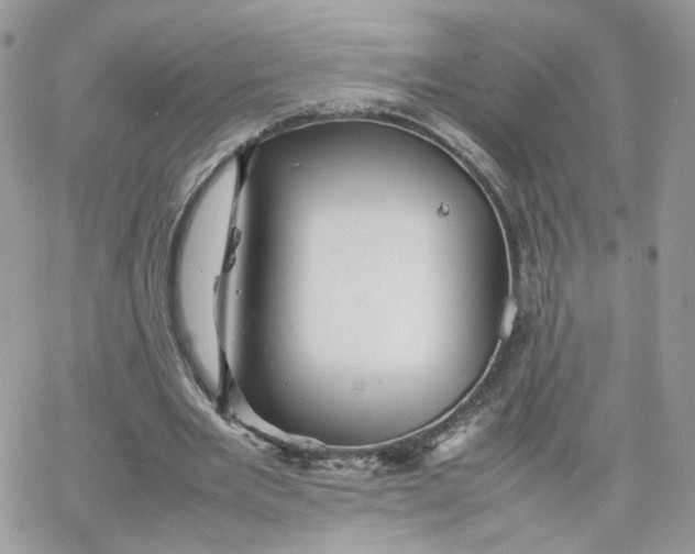 X0000066080485200603241436