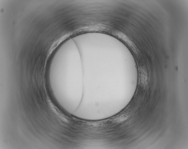 X0000066080486200603241436