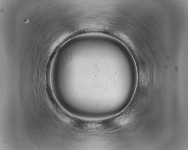 X0000066080487200603241435