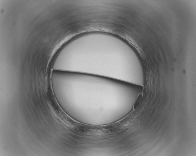 X0000066080488200603241435