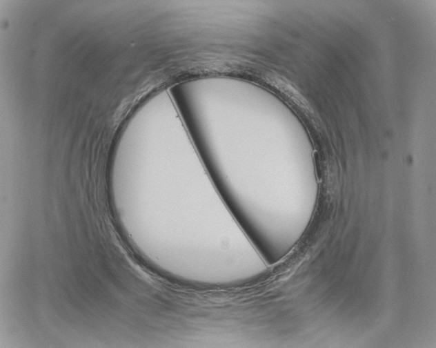 X0000066080489200603241435