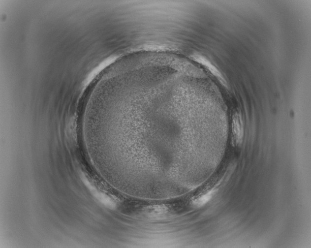 X0000066080492200603241435