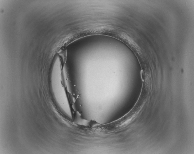 X0000066080493200603241435