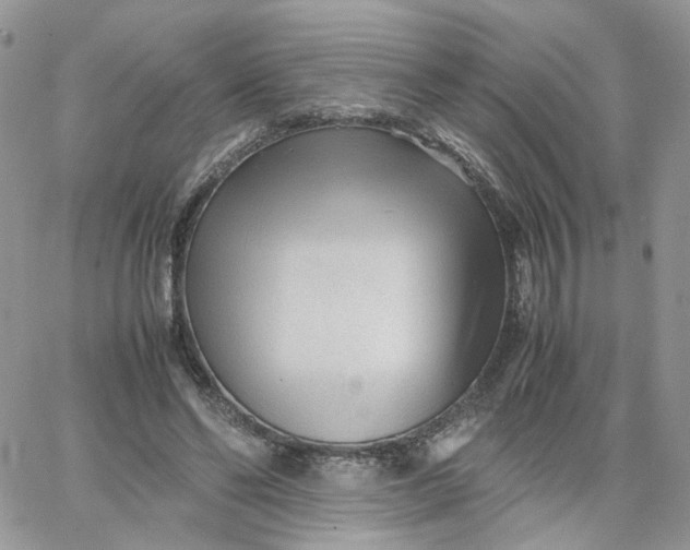 X0000066080494200603241435