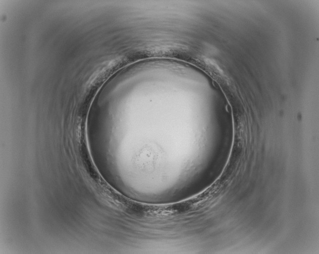 X0000066080495200603241435