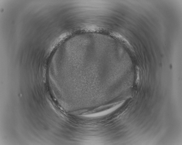 X0000066080496200603241435