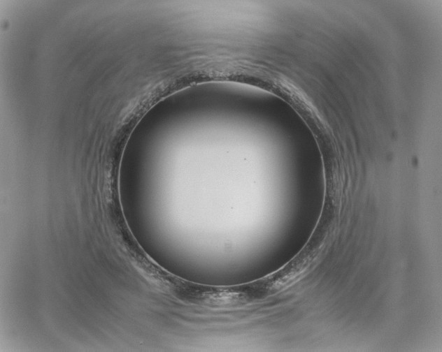 X0000066080497200603241435