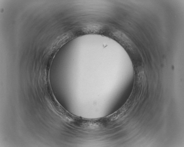 X0000066080498200603241435