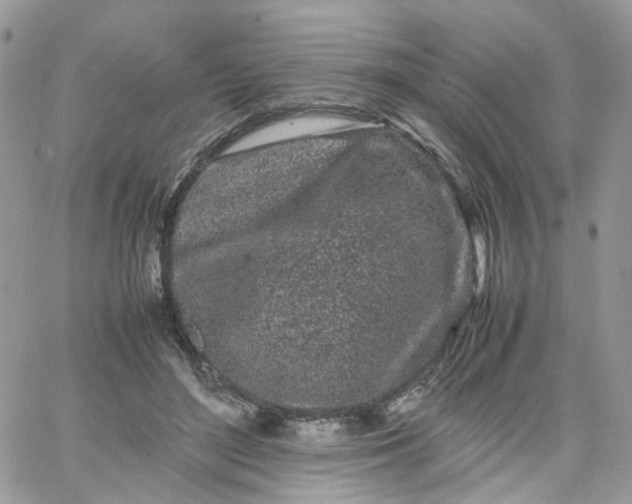 X0000066080500200603241435