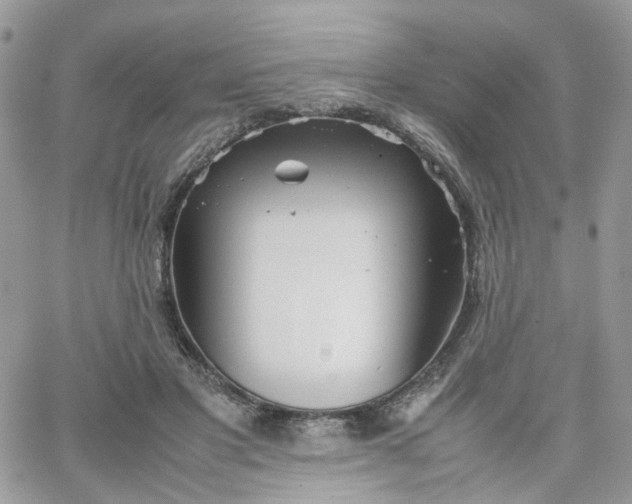 X0000066080501200603241435