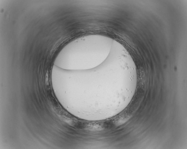 X0000066080502200603241435