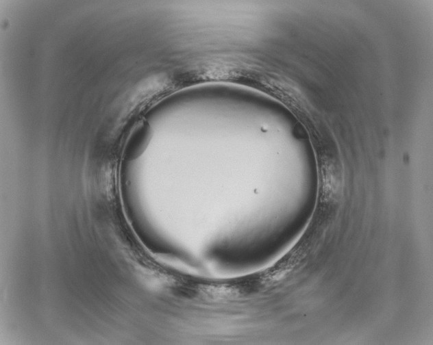 X0000066080503200603241435