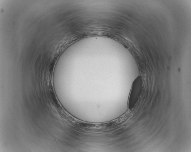 X0000066080504200603241435