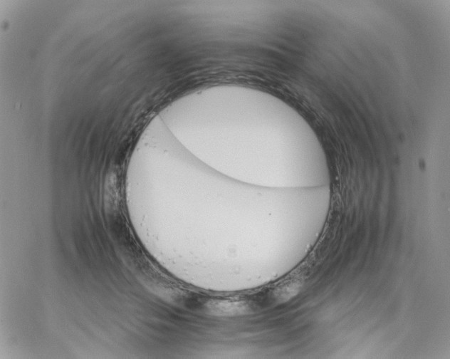 X0000066080506200603241435