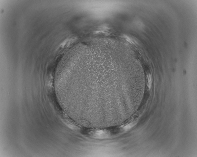 X0000066080507200603241435