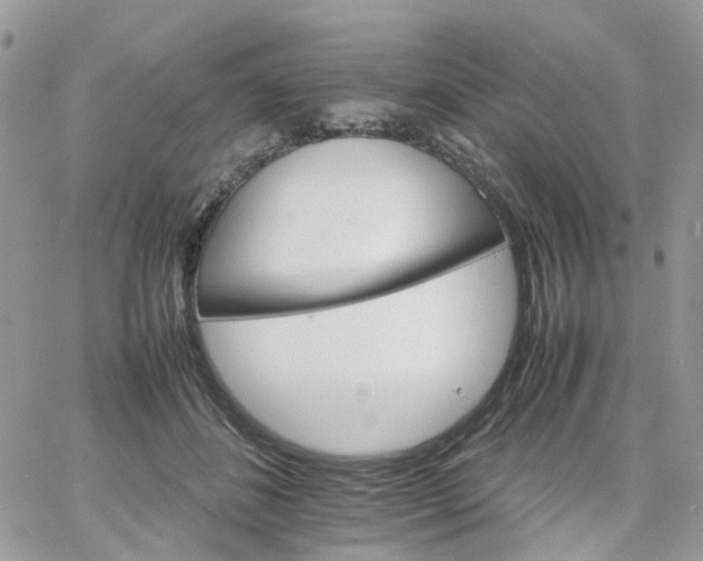 X0000066080508200603241435