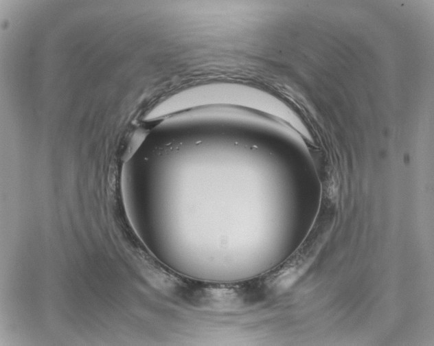 X0000066080509200603241435