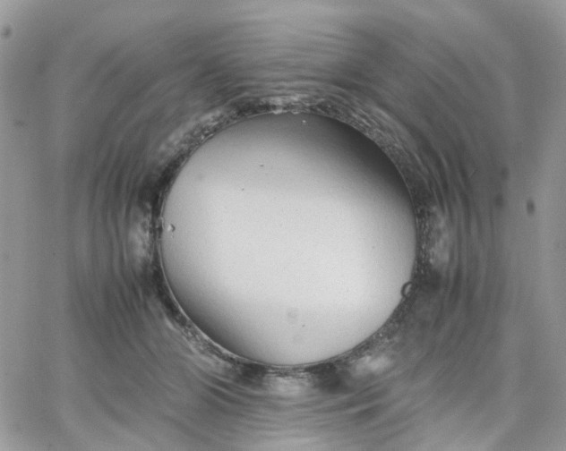 X0000066080510200603241435