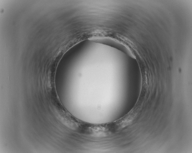 X0000066080512200603241435