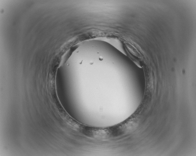 X0000066080513200603241435